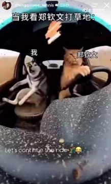 亨德森：无论首发还是替补都全力以赴 团结才能制胜